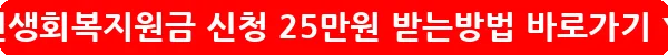 민생회복지원금 신청 25만원 받는방법_17