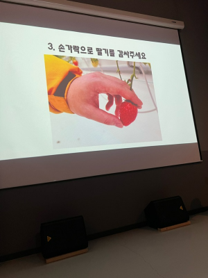 내생애첫딸기 딸기수확방법 교육