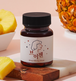브이젠