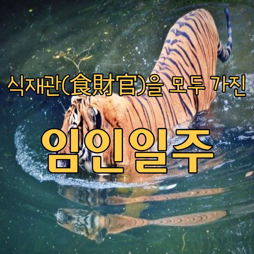  39. 식재관(食財官)을 모두 가진 임인일주