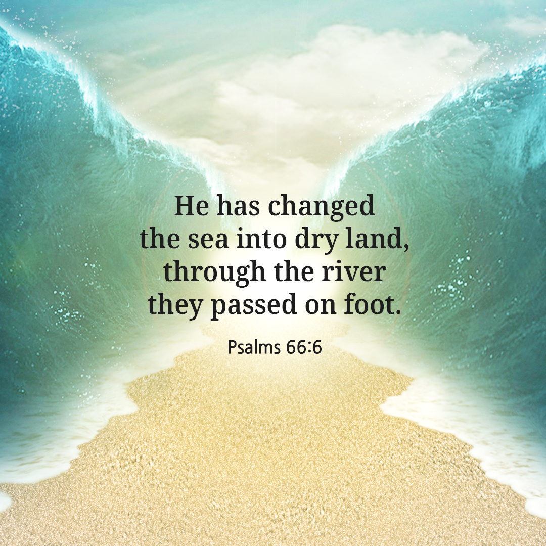 He has changed the sea into dry land&#44; through the river they passed on foot. (Psalms 66:6)