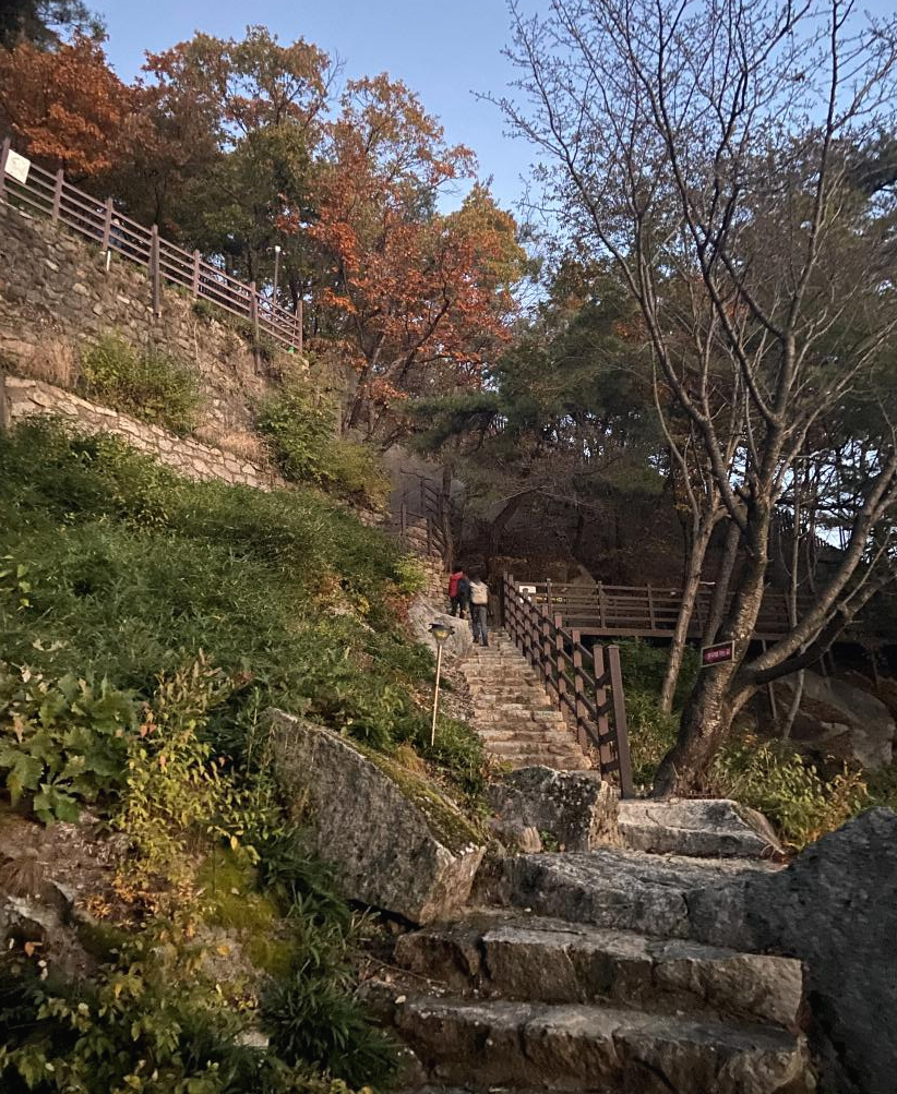 길-전망대-오르막
