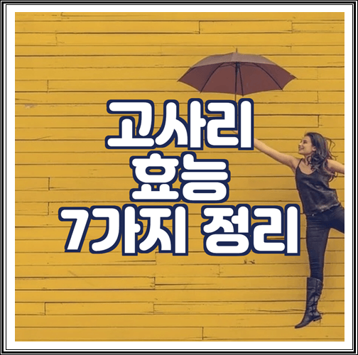 고사리 효능 7가지 정리