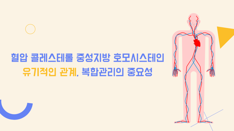 고혈압증상, 40대 적합한 10