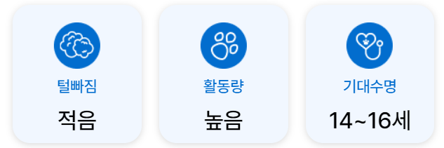 치와와 예방접종