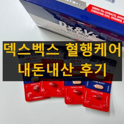 덱스벡스 혈행케어