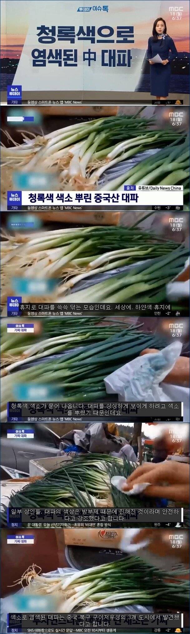  중국산 대파 클라스