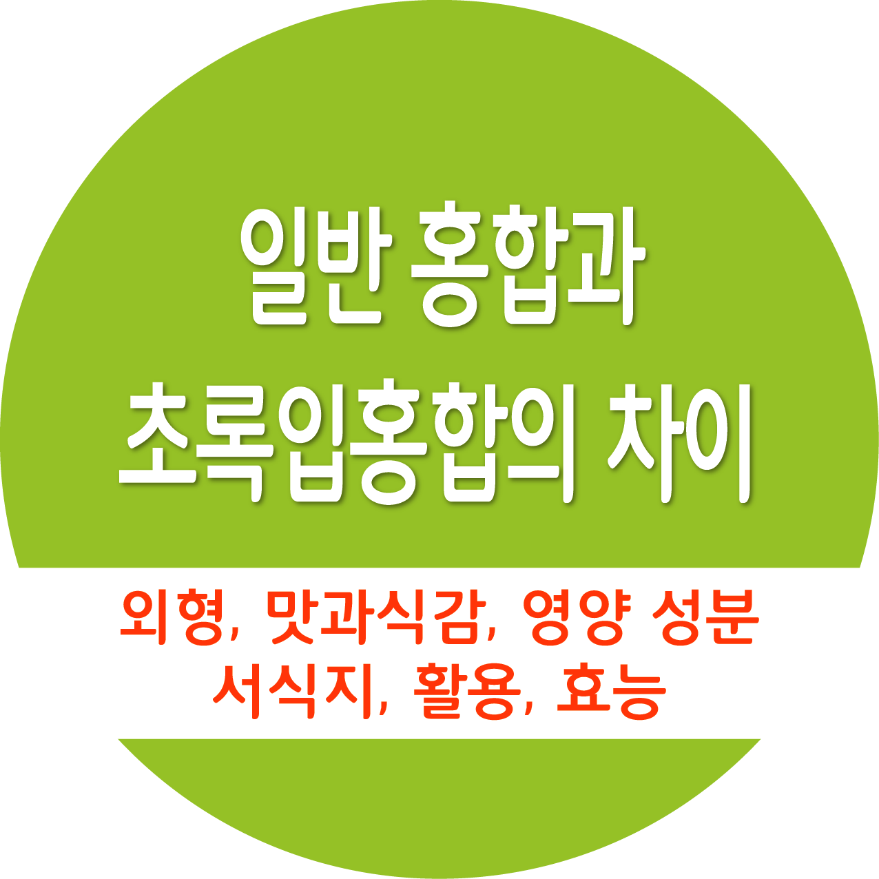 일반 홍합과 초록입홍합의 차이