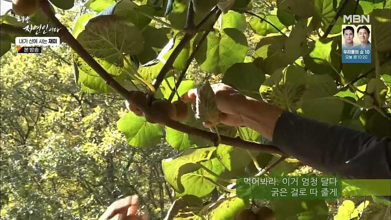 나는 자연인이다.E529.221124p.H264-F1RST.mp4_20221124_194719.822.jpg