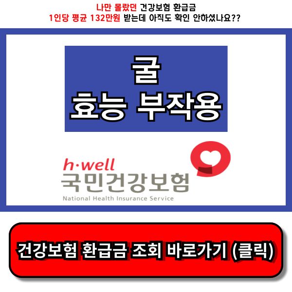 굴 효능 부작용