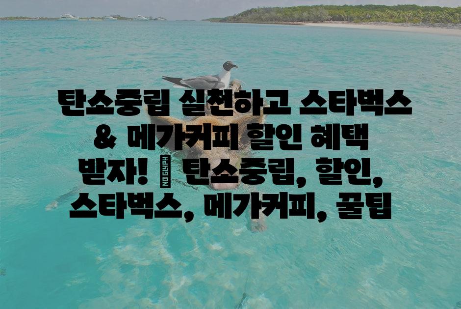 샘플 (1)