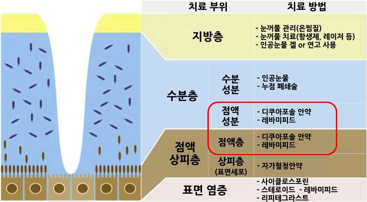 눈물막의 구성 및 치료 방법