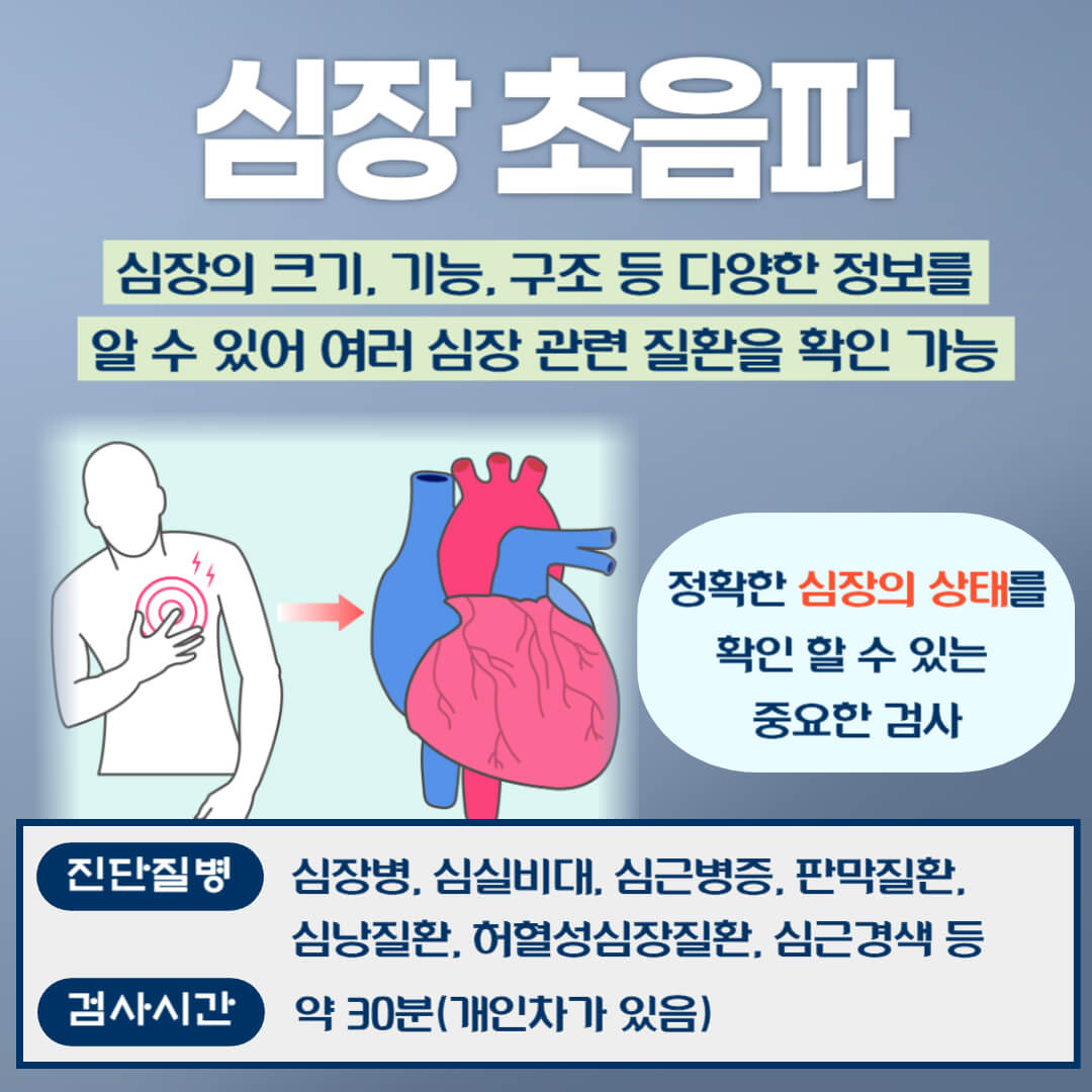 심장 초음파