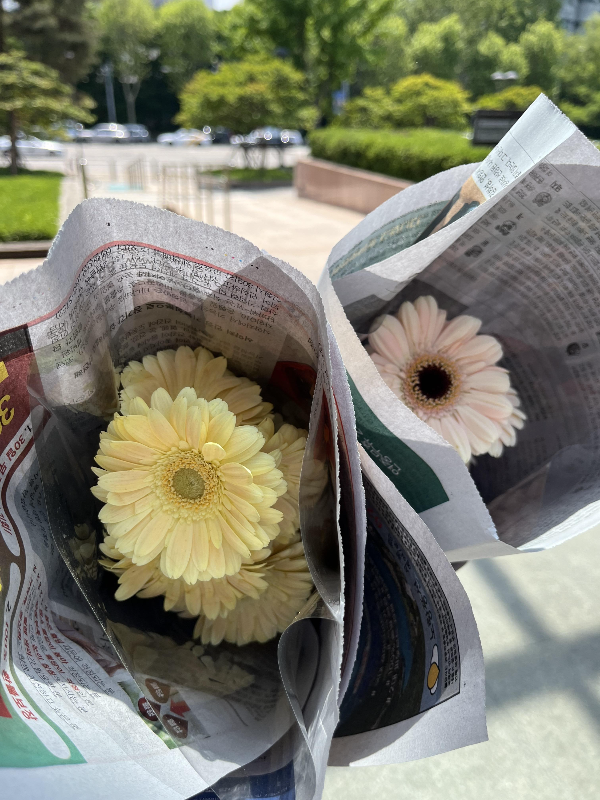 고속터미널-꽃시장-후기