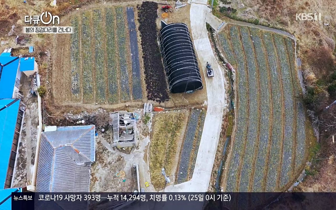 다큐 온.E132.220326p-NEXT.mp4_20220403_181720.384.jpg