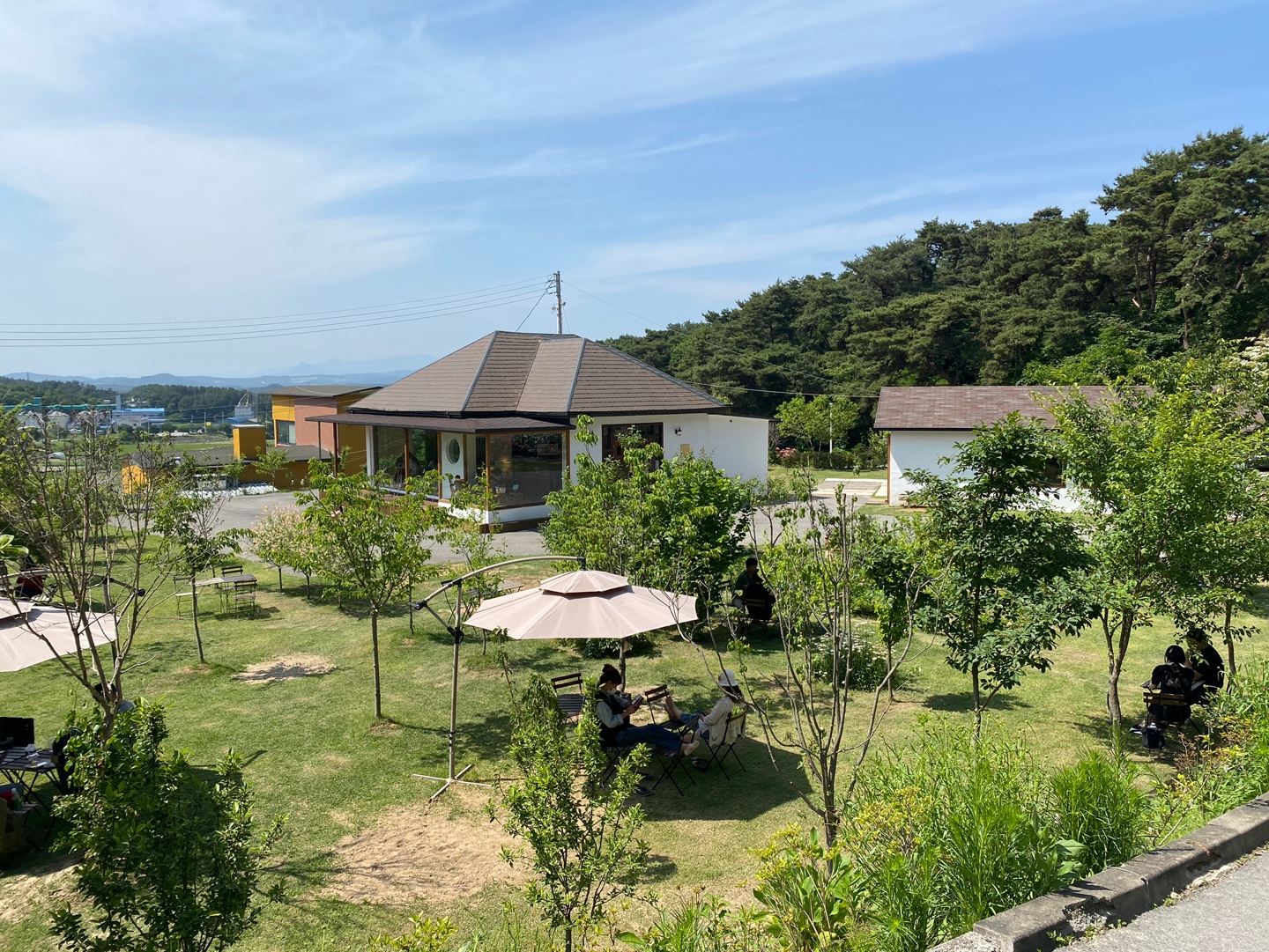  카페 여주/ 여주카페/경기도 여주 가볼만한곳/서울근교 예쁜 카페/인생사진