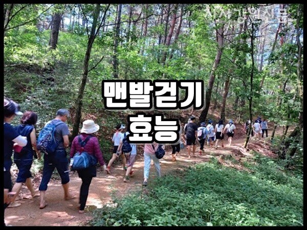 맨발걷기와 어씽