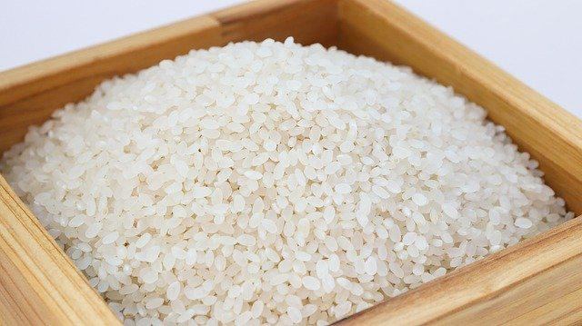 쌀 품종