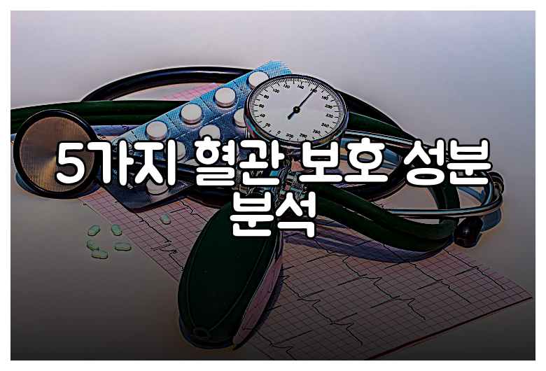 5가지 혈관 보호 성분 분석