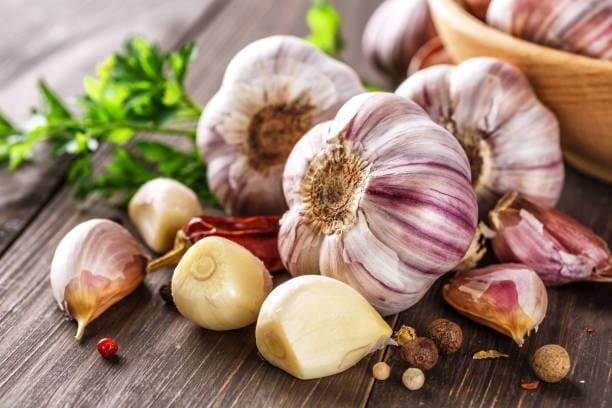마늘 (Garlic)