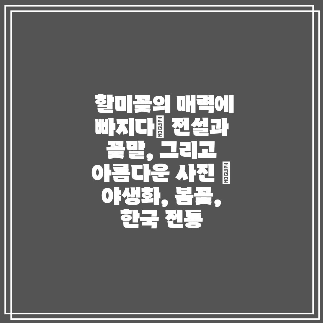  할미꽃의 매력에 빠지다 전설과 꽃말, 그리고 아름다운