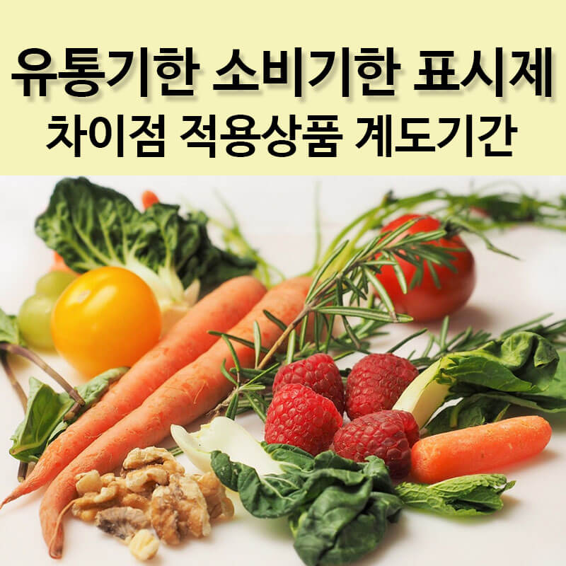 유통기한 소비기한 표시제 차이점 작용상품 계도기간