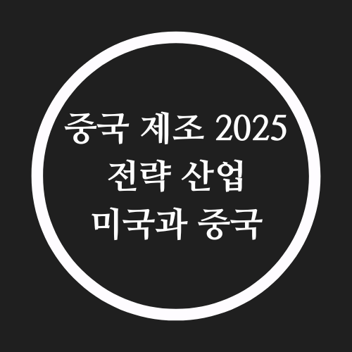  중국 제조 중국 제조 2025 전략 중국 패권