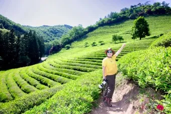 보성 가볼만한곳 베스트 10 추천 밝은 보성_26