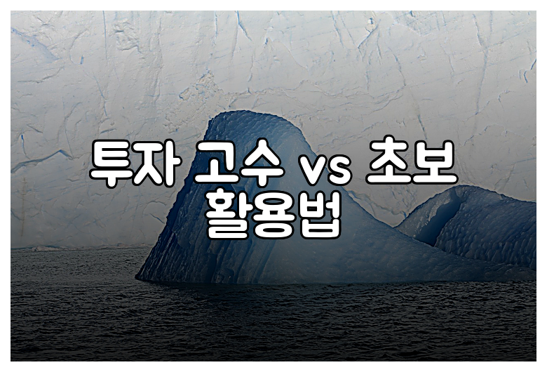 투자 고수 vs 초보 활용법