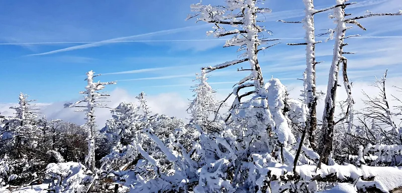 제주 한라산 설경 상고대