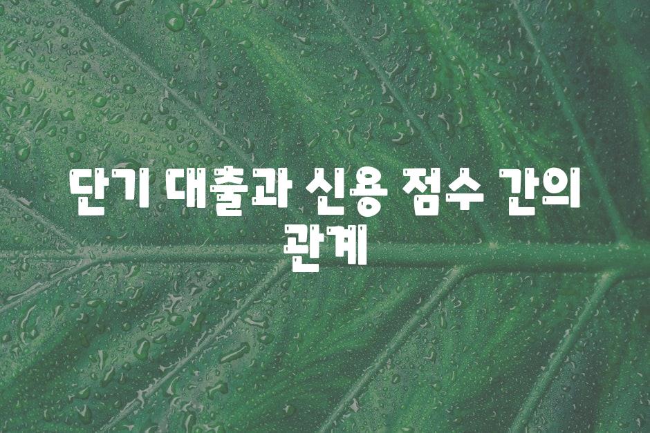 단기 대출과 신용 점수 간의 관계