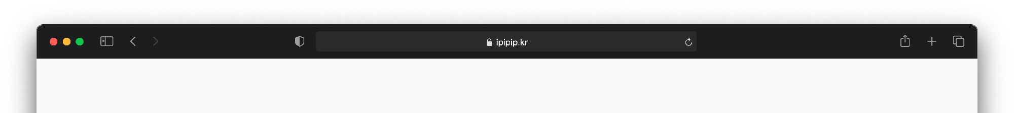  내 아이피(IP) 쉽게 확인하기! / ipipip.kr