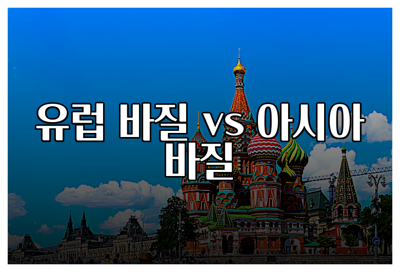 유럽 바질 vs 아시아 바질