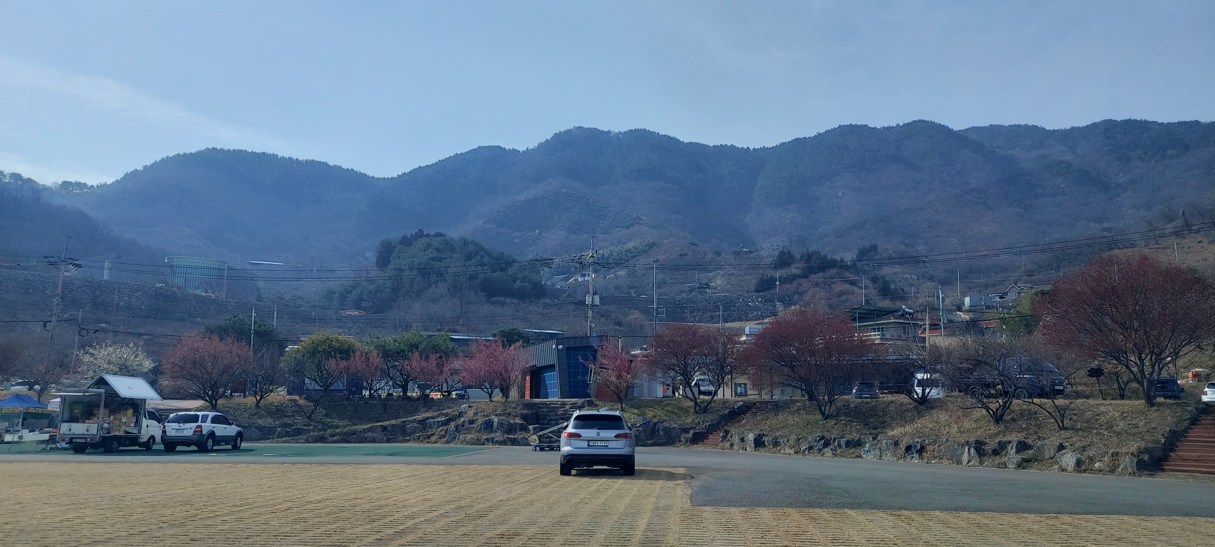 광양 매화마을 둘러보기 2