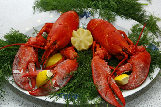  아스타잔틴 효능과 헤마토코쿠스 먹는 방법