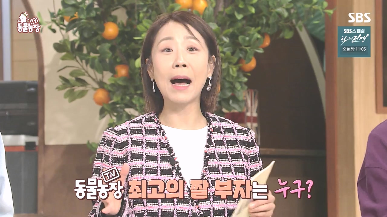 TV 동물농장.E1142.231023p-NEXT.mp4_20231022_173949.265.jpg