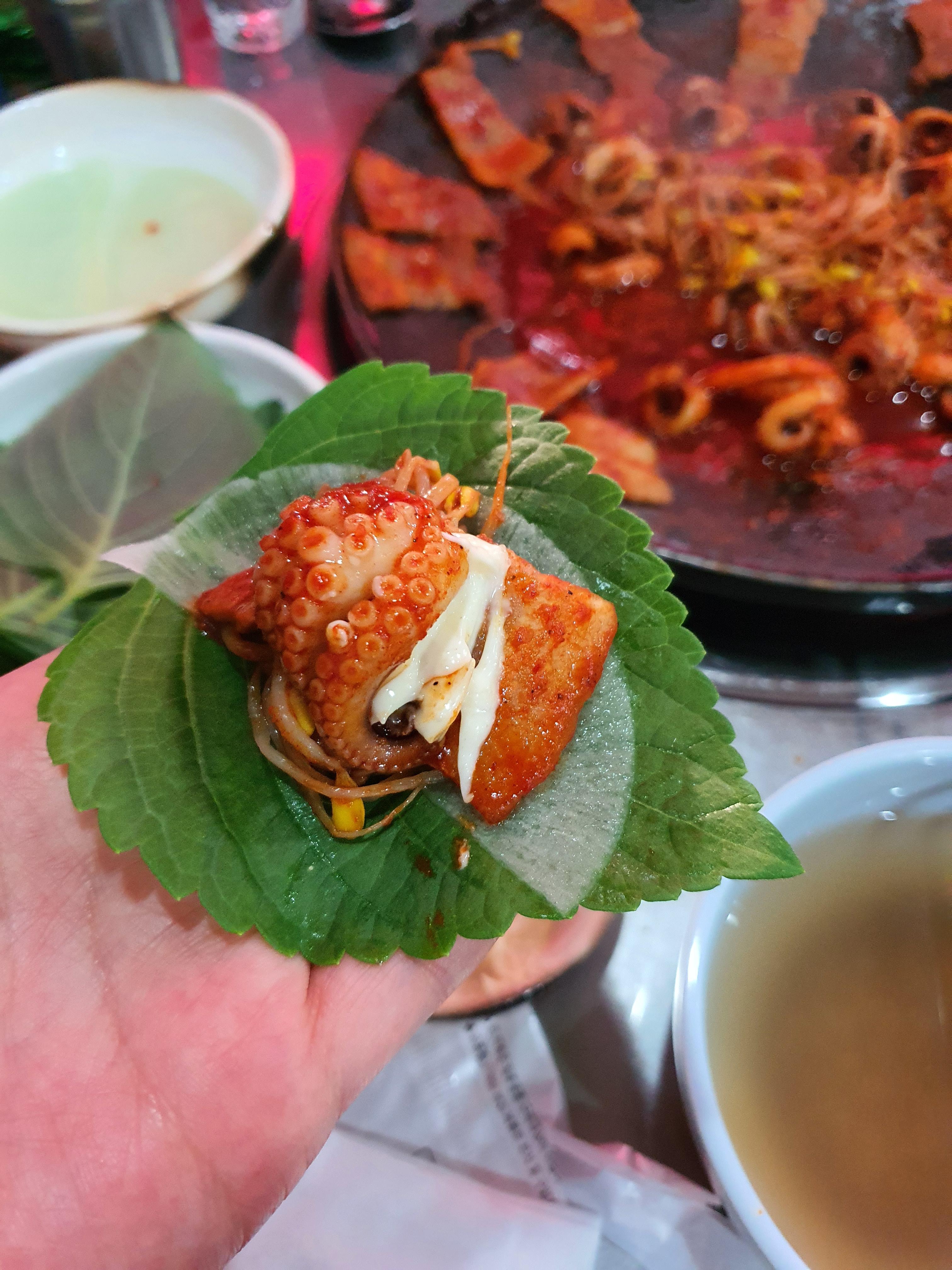  제주도 스트레스 풀리는 매운 음식 맛집 추천!_쭈꾸쭈꾸 쭈꾸미 5호점