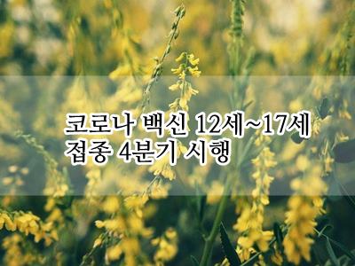  코로나 백신 12세~17세 접종 4분기 시행