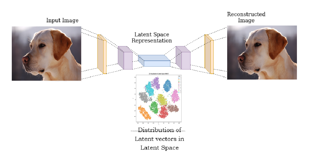 input image
latent representation
latent space
encoder
latent vector