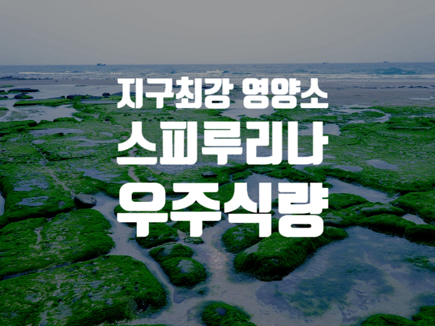  지구최강 영양소 스피루리나 : 우주식량 no.1