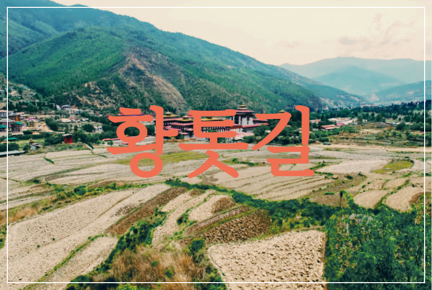  [시 감상]김지하 - 황톳길