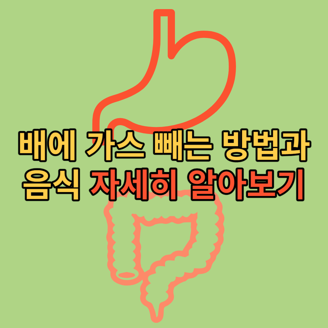  배에 가스 빼는 방법 음식 총정리