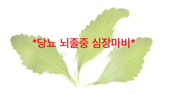  스테비아 설탕 효능과 부작용 *당뇨가 싫은 사람만*