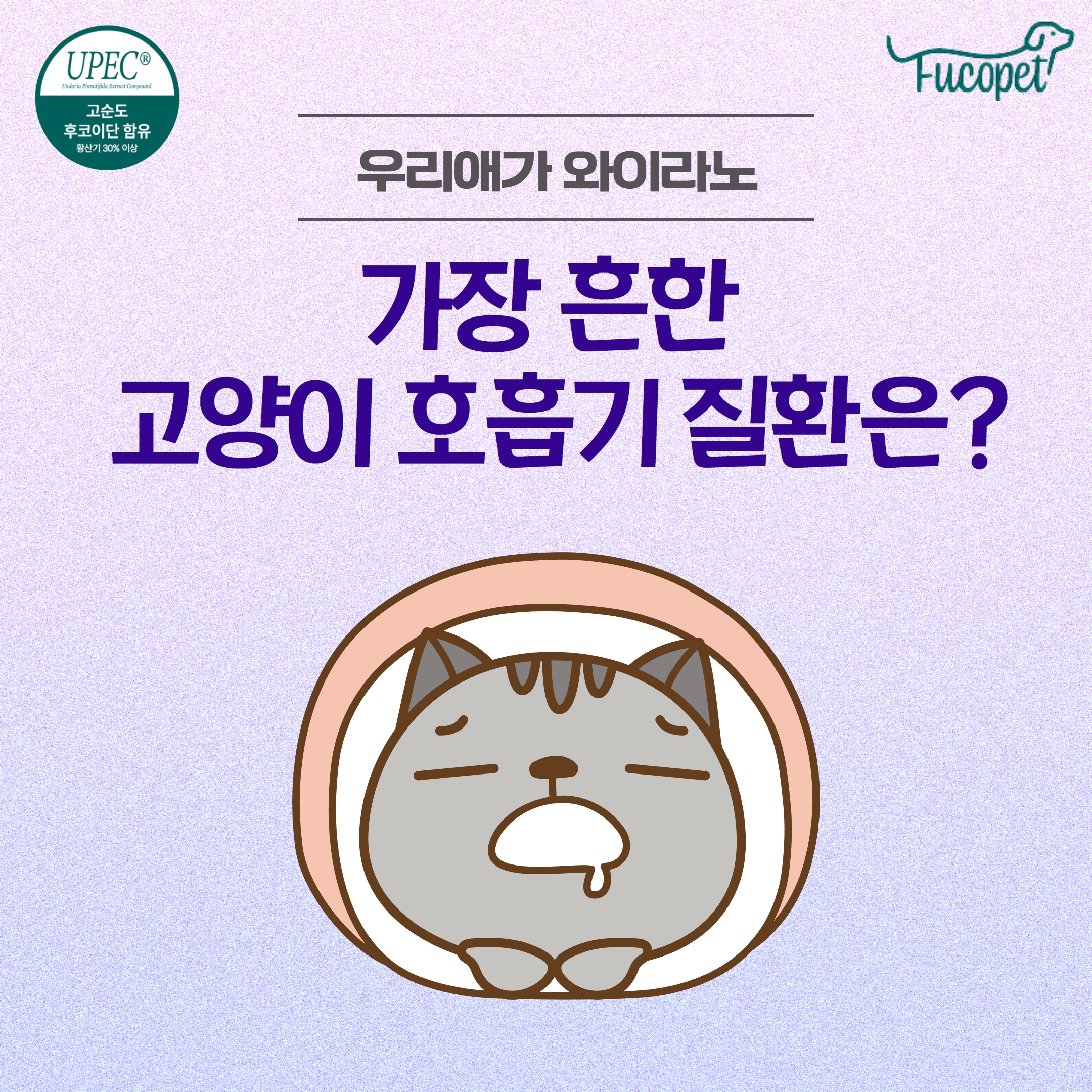 고양이 호흡 보조제/상부 호흡기 증후군/후코이단 푸코펫 1