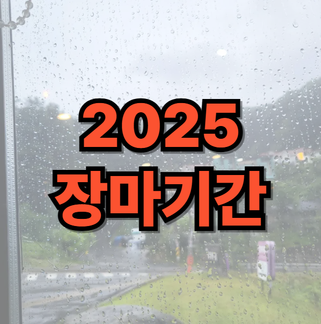 2025년 장마기간