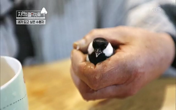 [3회] 자연의 철학자들 - KBS새처럼 살고 싶어라] 자연이라는 위대한 법당에서 숲의 울림, 새들의 소리를 들으며 깨달음을 얻은 도연 스님.ts_20220320_153556.214.jpg