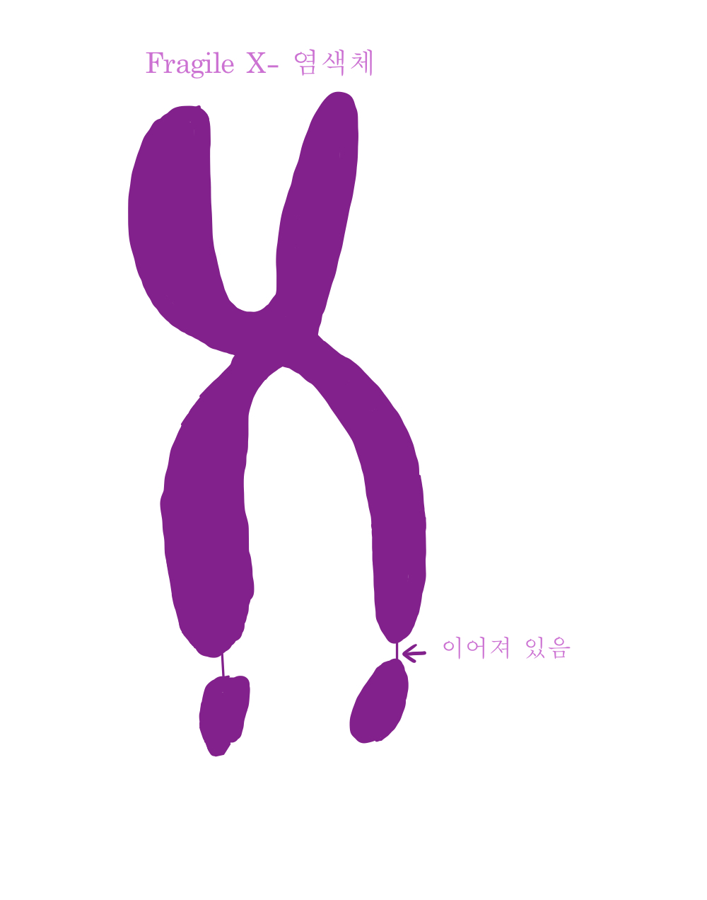  염기 돌연변이 2 - 
