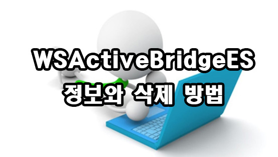  WSActiveBridgeES 정보와 삭제 방법