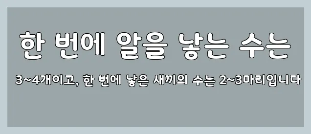  한 번에 알을 낳는 수는 3~4개이고, 한 번에 낳은 새끼의 수는 2~3마리입니다