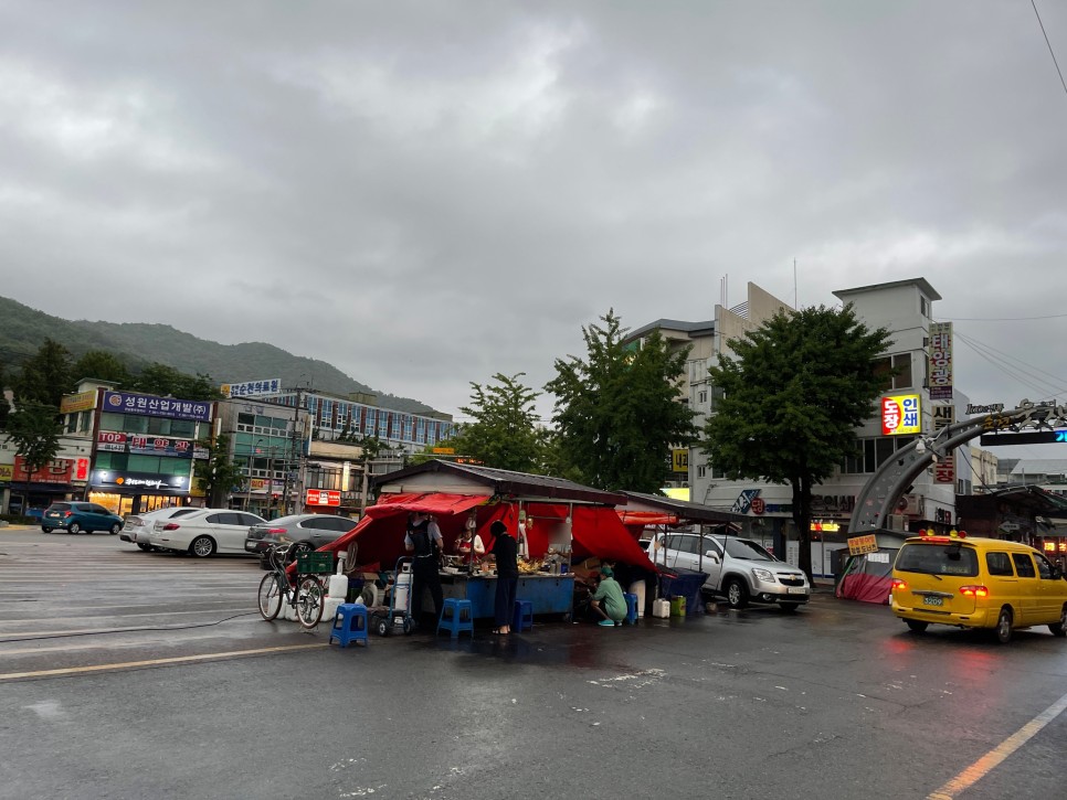  순천 분식맛집 서면댁